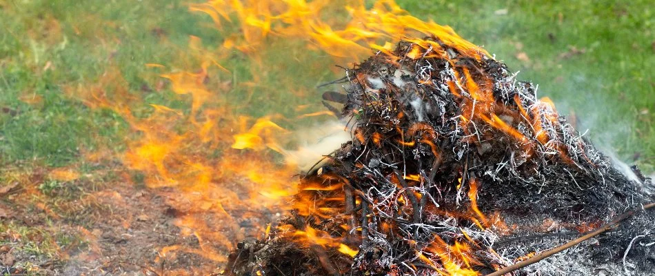 Burning leaves on a lawn in Michigan.