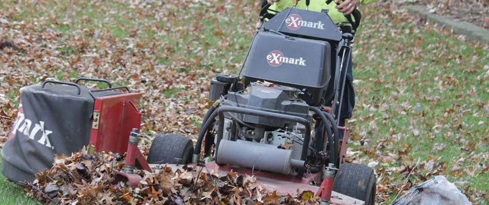 Clearing leaves to prevent lawn flooding near Chesterfield, MI.