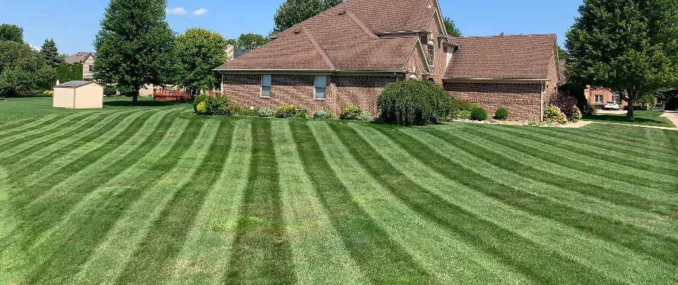 Dark, green lawn alongside a house in Macomb, MI, with striping.