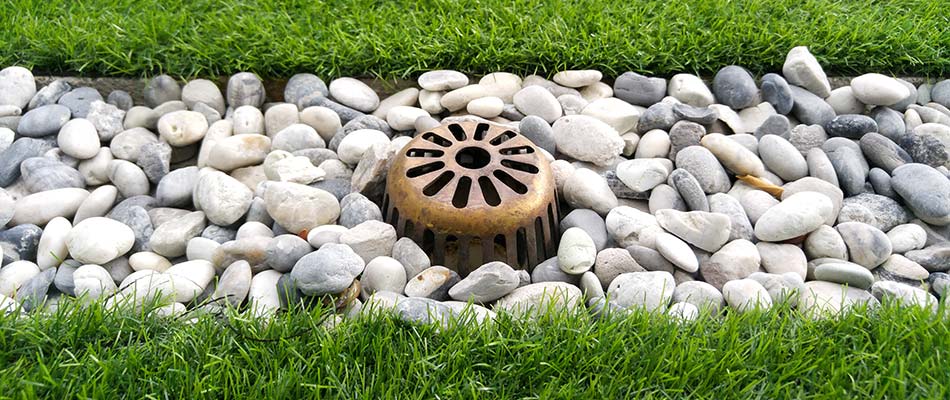 Drought vs Flood - Extreme Lawn Conditions and How to Manage Them