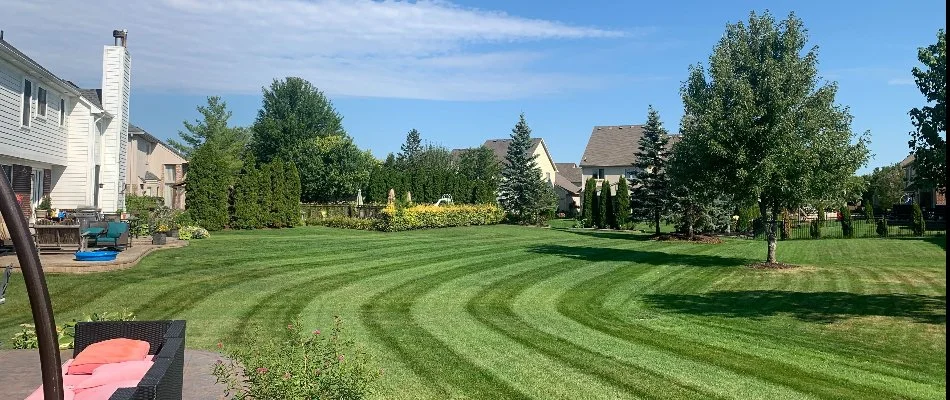 Green lawn and trees in Macomb, MI, during a sunny day.