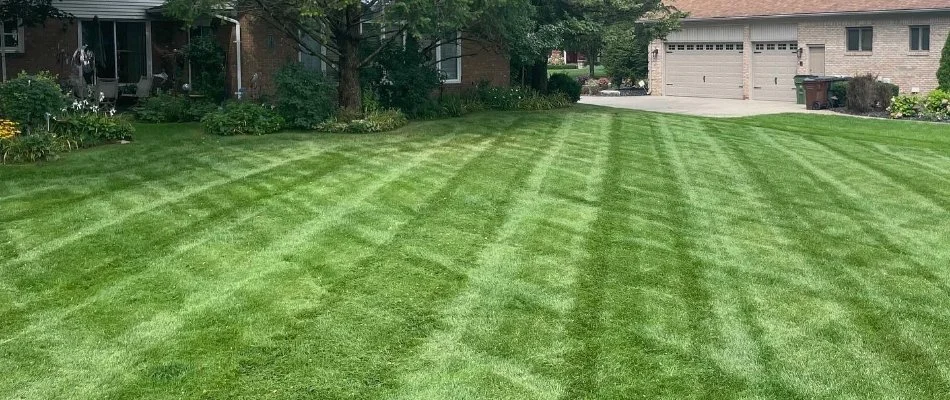 Green lawn in Macomb, MI, with mowing stripes.