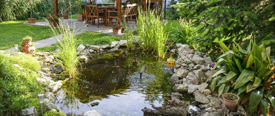 Green plants around a pond water feature in Macomb, MI.