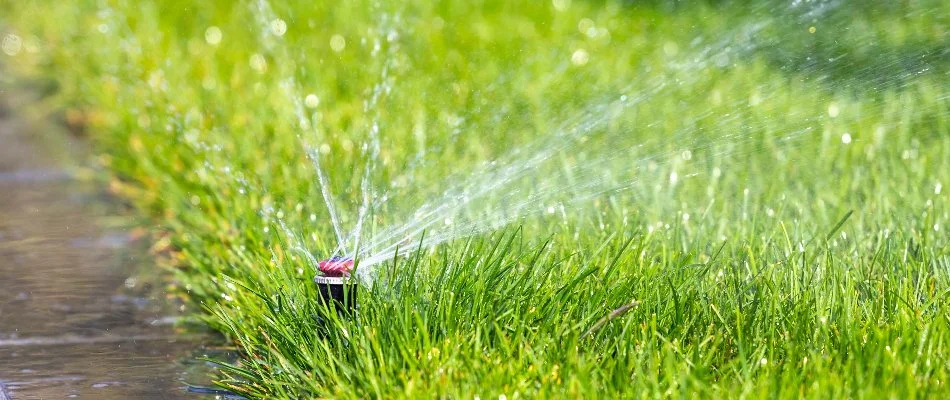 Irrigation sprinkler head on green grass in Macomb, MI.