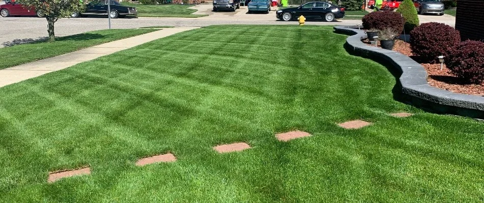 Lush grass in Macomb, MI, with steps and a landscape.