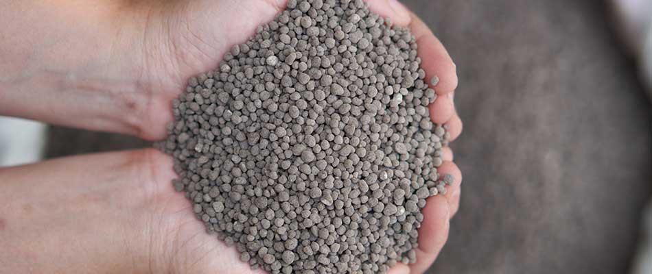 Phosphorus processed for fertilizer near Macomb, MI.