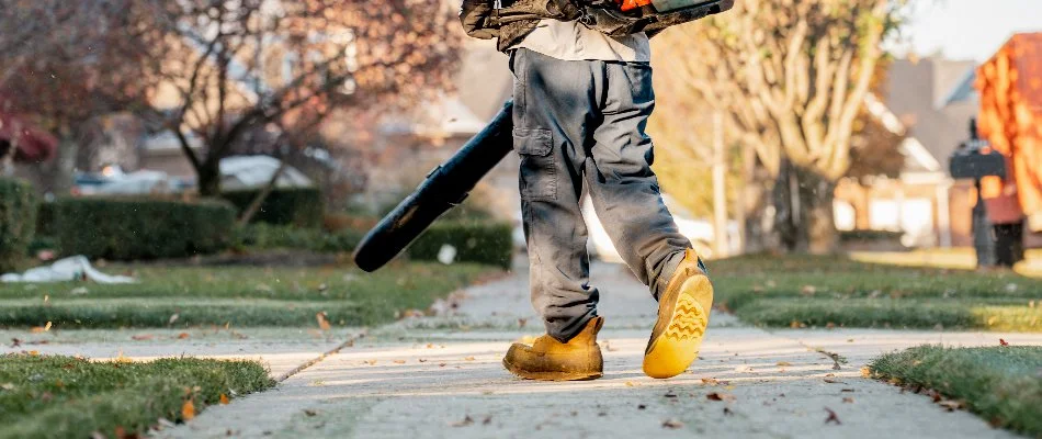 Professional blowing leaves out of a walkway in Macomb, MI.