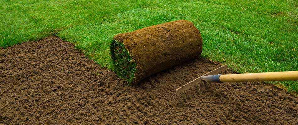 3 Reasons Why You Should Use Sod for Your New Lawn