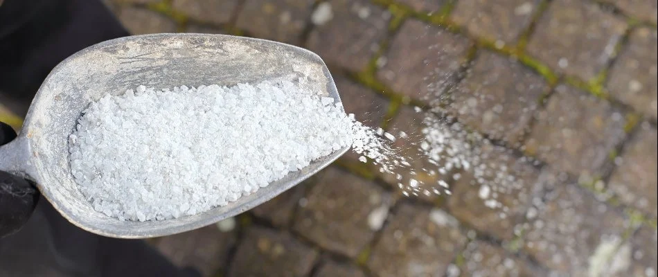 Spreading a deicing treatment on a patio in Macomb, MI.