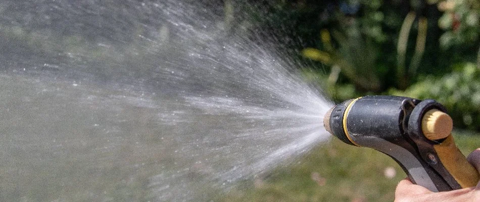 Watering a lawn in Macomb, MI, with garden hose. 