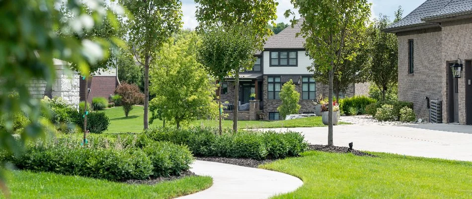 Yard in Macomb, MI, with neat plants and green grass.