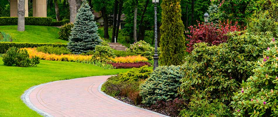 Picture of a commercial landscape bed design in Warren, Michigan