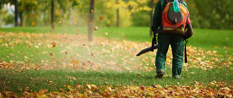 Commercial fall cleanup services and leaf blowing at a property in Chesterfield, MI.