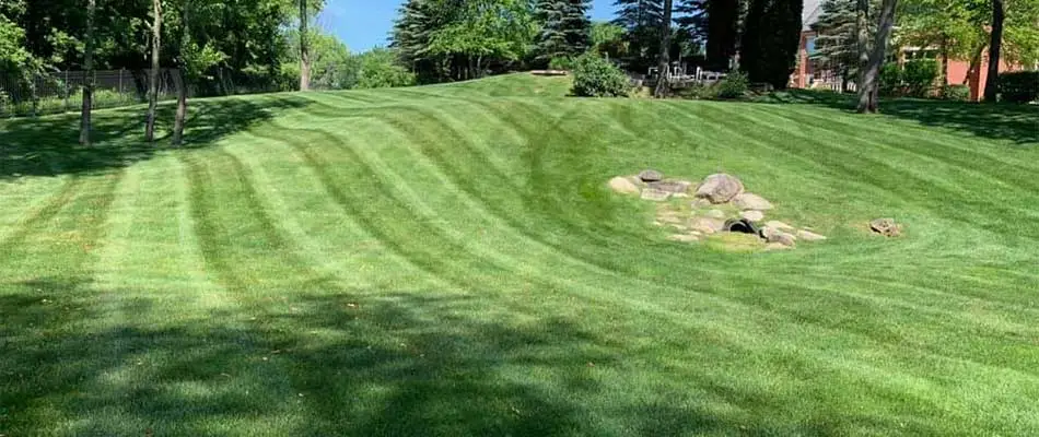 Healthy, green lawn with rolling slopes near Chesterfield, MI.