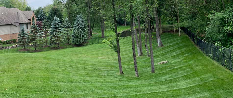 Beautiful green grass in Rochester Hills, MI on a lawn with mowing lines, fertilization, and weed control.