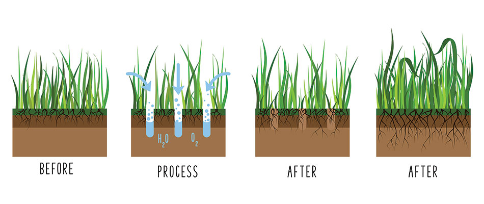 September vs April for Aeration and Overseeding | Big Lakes Lawncare Blog