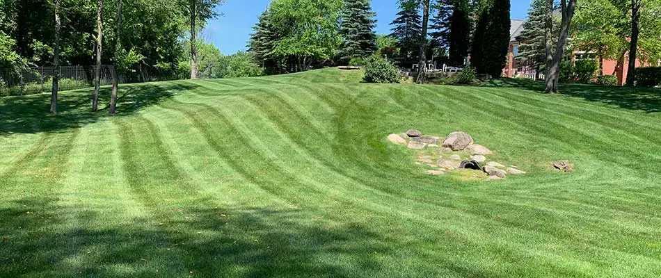A Macomb, MI back yard with fresh mowing lines.