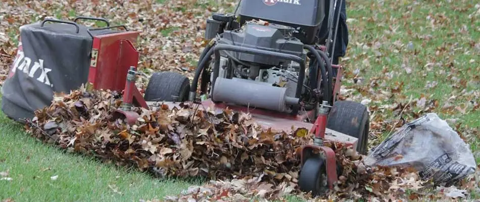 Leaves being removed from an HOA community in Chesterfield, MI.