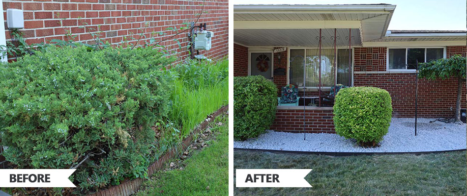 Before and after progress of landscape bed renovation in Warren, MI.