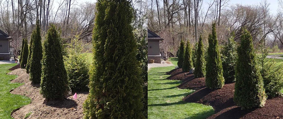 Before and after of mulch installation in Armada, MI.