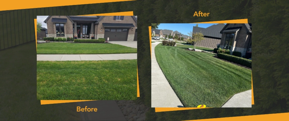 Unhealthy lawn impacted by lawn diseases near Washington, MI.