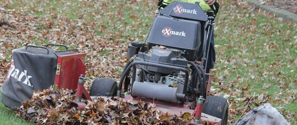 Big Lakes lawn care professional removing leaves from client's yard near New Baltimore, MI.
