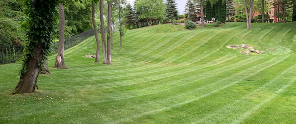 Healthy, green lawn with mowing stripes in Chesterfield, MI.