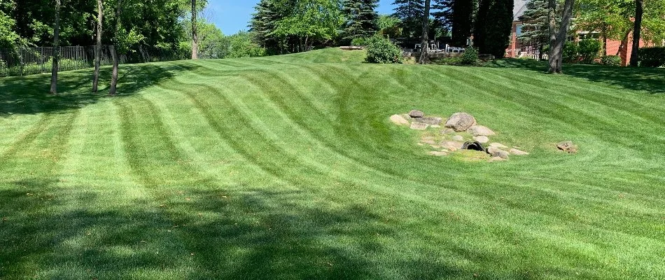 Hilly landscape in St. Clair, MI.