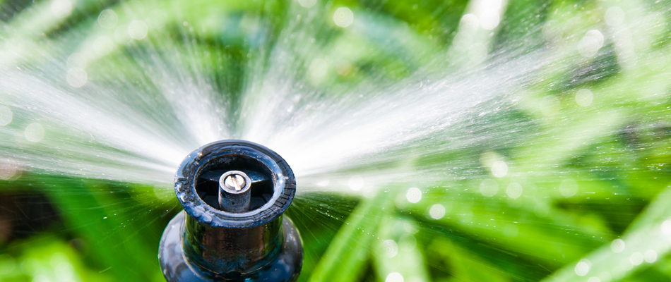 Irrigation sprinkler watering lawn in Sterling Heights, MI.