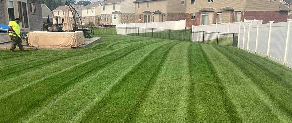 Healthy green grass with mowing stripes in Rochester Hills, MI.