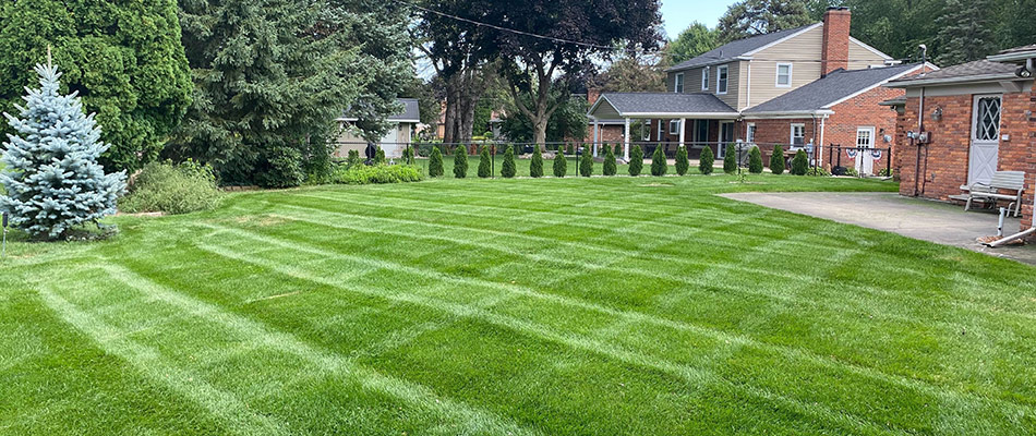 Lawn mowed with stripe patterns in Columbus Township, MI.