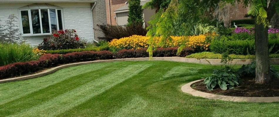 Lawn mowed with stripe patterns added in Chesterfield, MI.