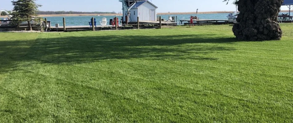 Lush, green grass on a waterfront property in Lathrup Village, MI.