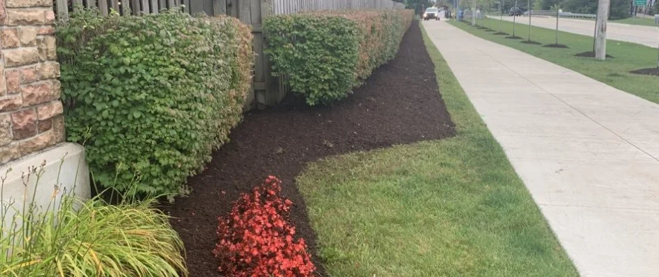 Mulch in a landscape bed in Macomb, MI.