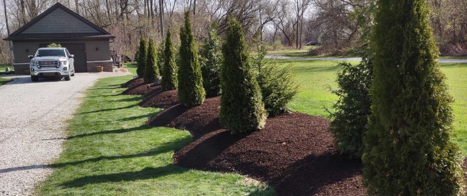 Mulch bed installed with shrub plantings in Mount Clemens, MI.