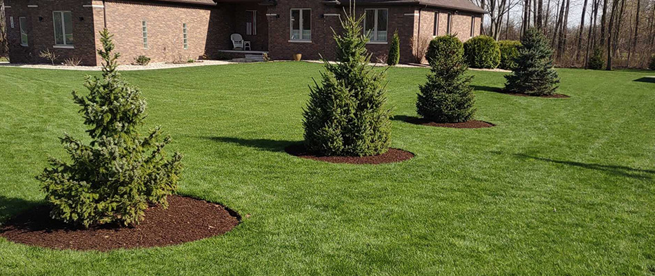 Mulch beds with tree plantings added to landscape in Lenox, MI.