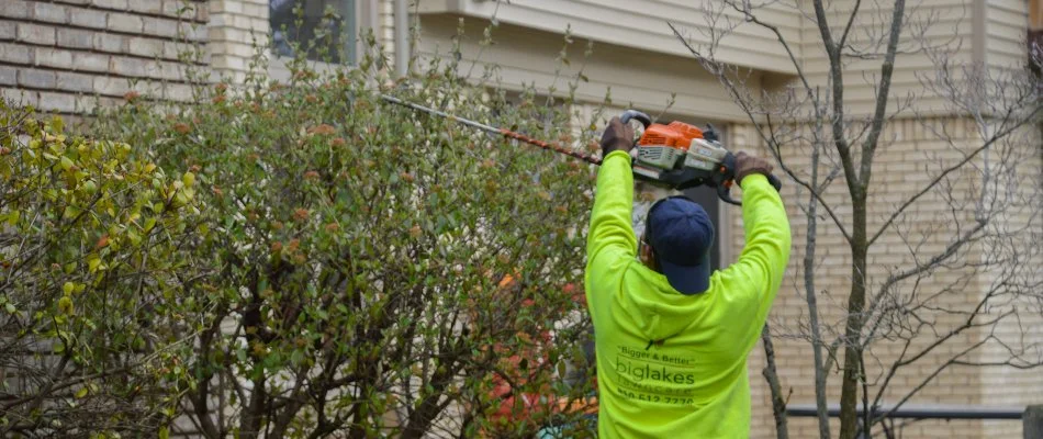 Landscape worker trimming plants in Fraser, MI.