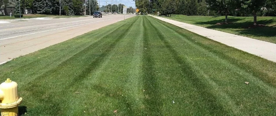 Mowed lawn near the street on a property in Oak Park, MI.