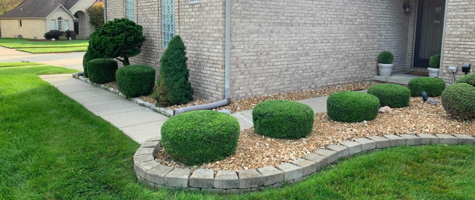 Shrubs trimmed and maintained for landscape bed in Utica, MI.