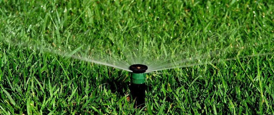 Sprinkler head with green stripe on a property in Macomb, MI.