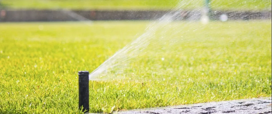 Sprinkler spraying water on a lawn in Center Line, MI.